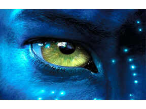 Illustration de l'article Palmarès des films les plus piratés en 2010 : Avatar en tête et curieux paradoxe
